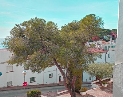 xicoira-2